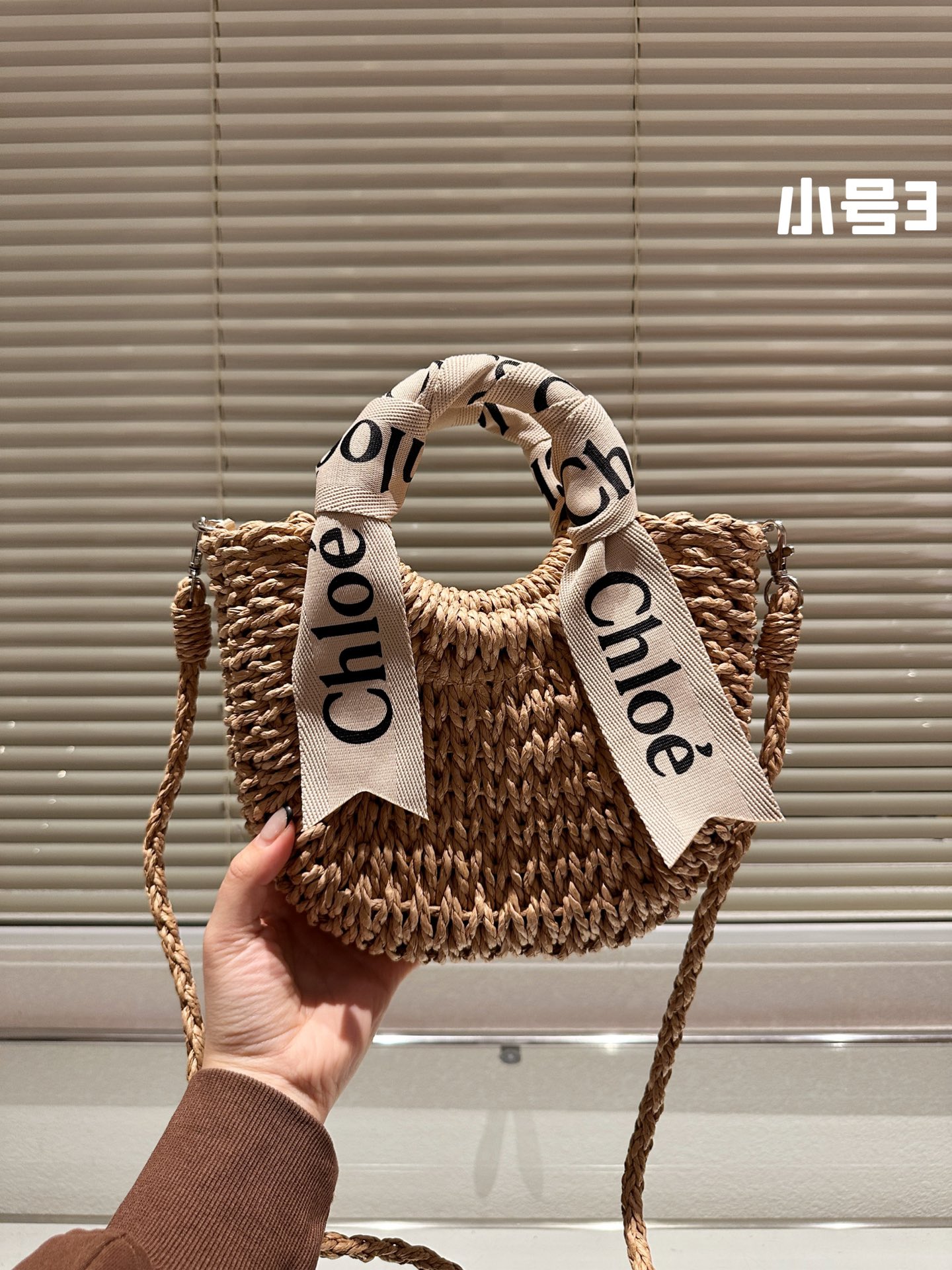 CHLOE bag 02