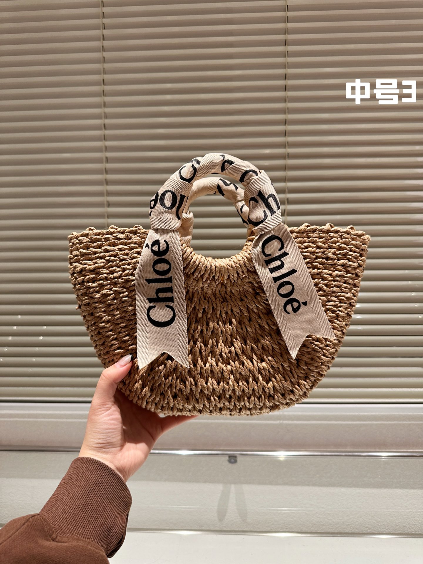 CHLOE bag 03