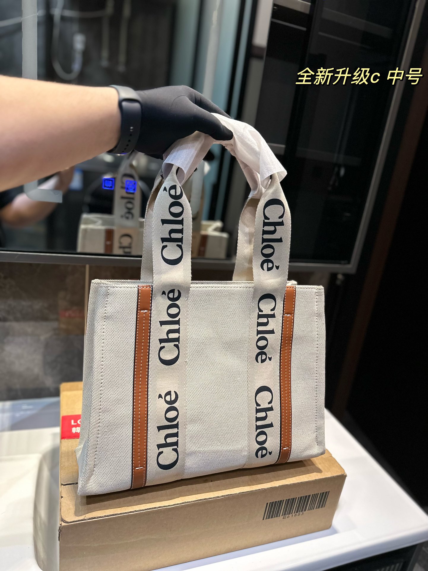 CHLOE bag 10