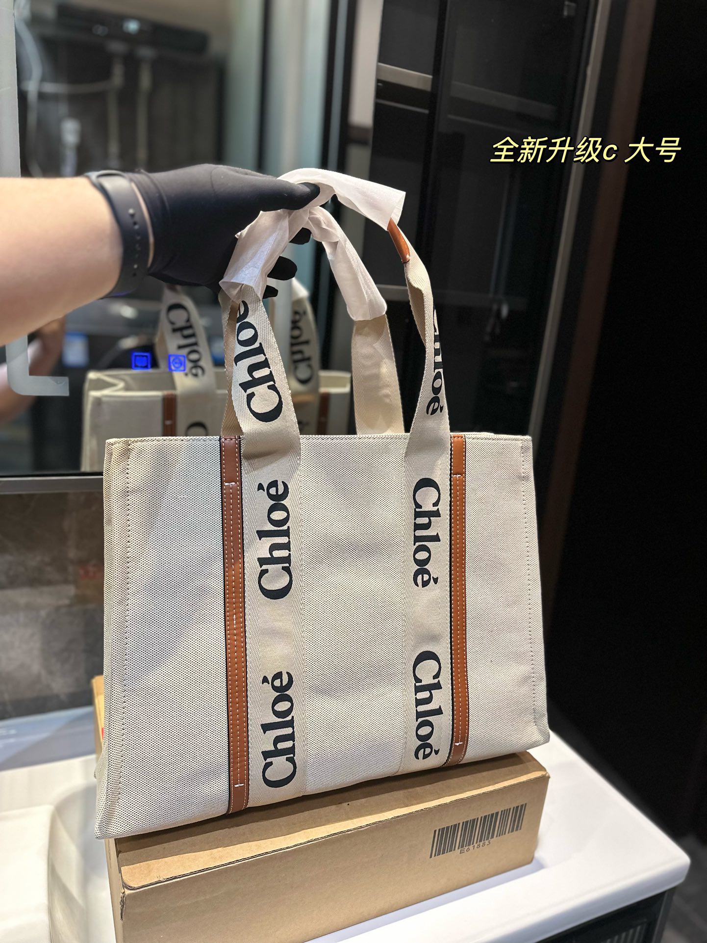 CHLOE bag 11